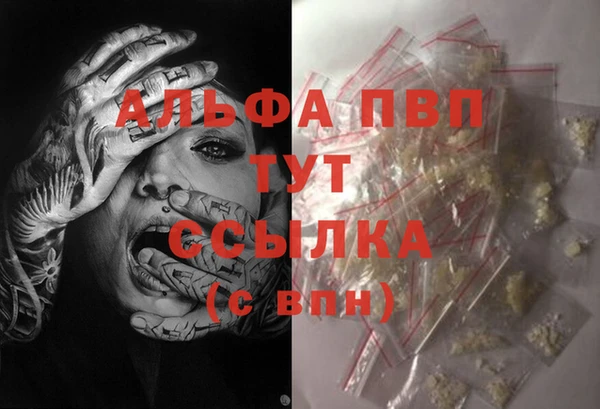 ешки Абаза