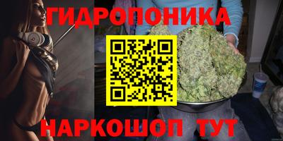 наркотики Заводоуковск