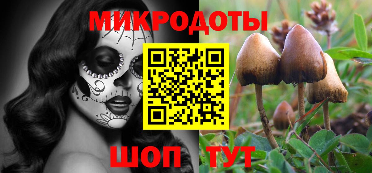 Галлюциногенные грибы ЛСД  Галлюциногенные грибы MAGIC MUSHROOMS  цена наркотик  Усолье-Сибирское  Вход с VPN 